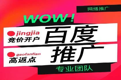 案例解析：如何通过百度推广实现快速转化