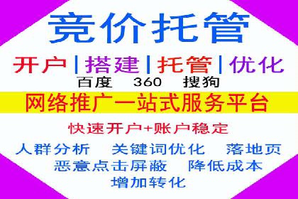 成功SEM托管案例：流量与转化双赢